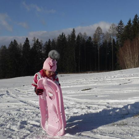 Apartmany Podhorama Vaclavov u Bruntalu Esterno foto